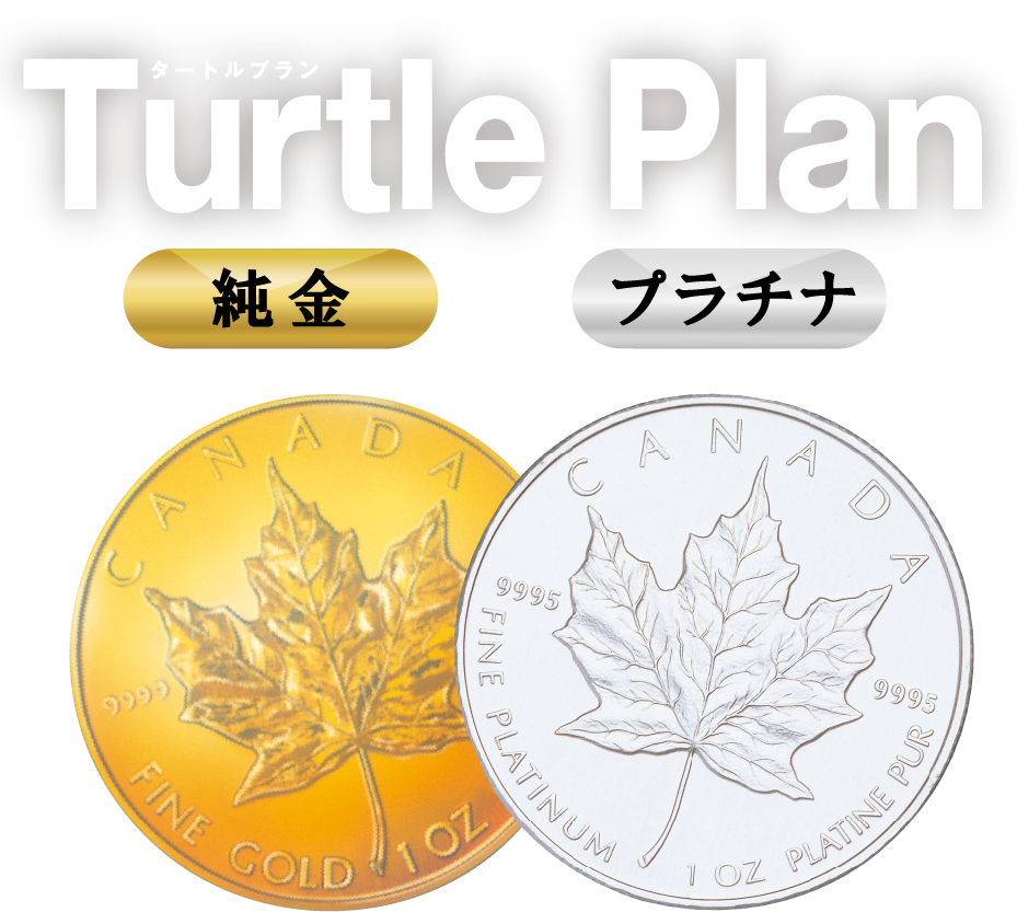 タートルプラン - turtle plan