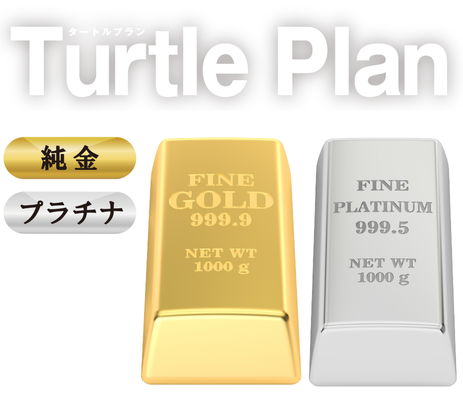 タートルプラン - turtle plan